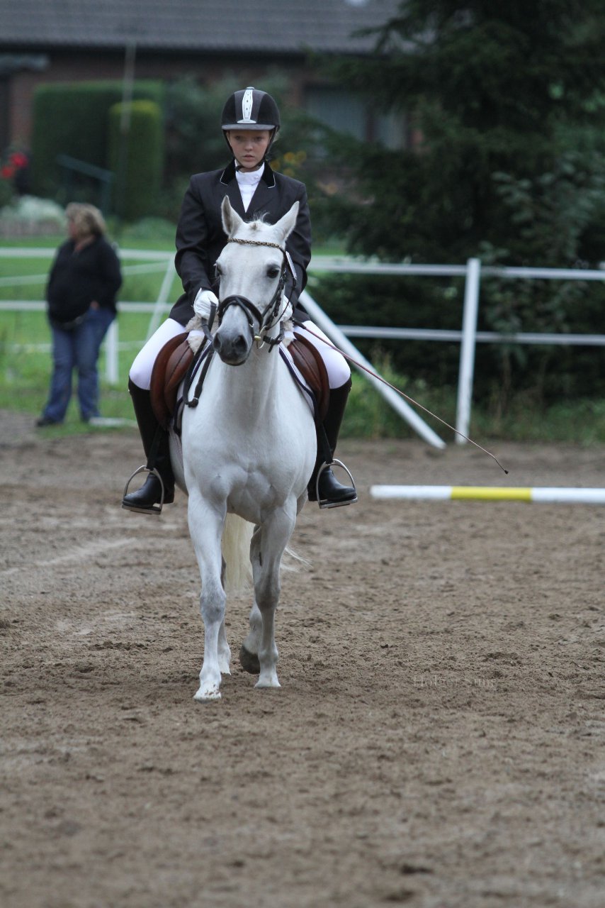 Bild 365 - WBO-Turnier am 18.9.11